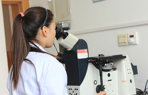 金屬材料技術(shù)研究:金相顯微鏡 組織分析 金屬材料技術(shù)研究:金相顯微鏡 組織分析